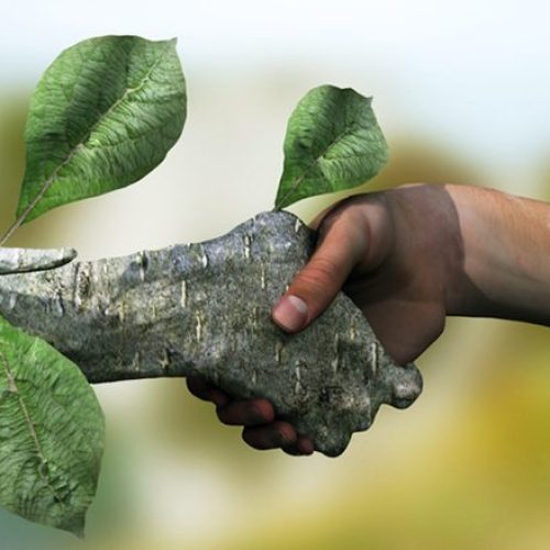 Environmental-Commitment