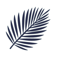 cropped-Macernis-Logo